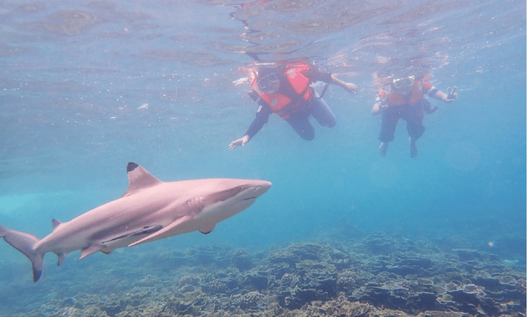 Perhentian Islands - Gallery image 4