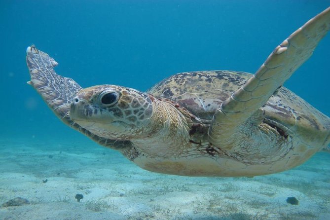 Perhentian Islands - Gallery image 2