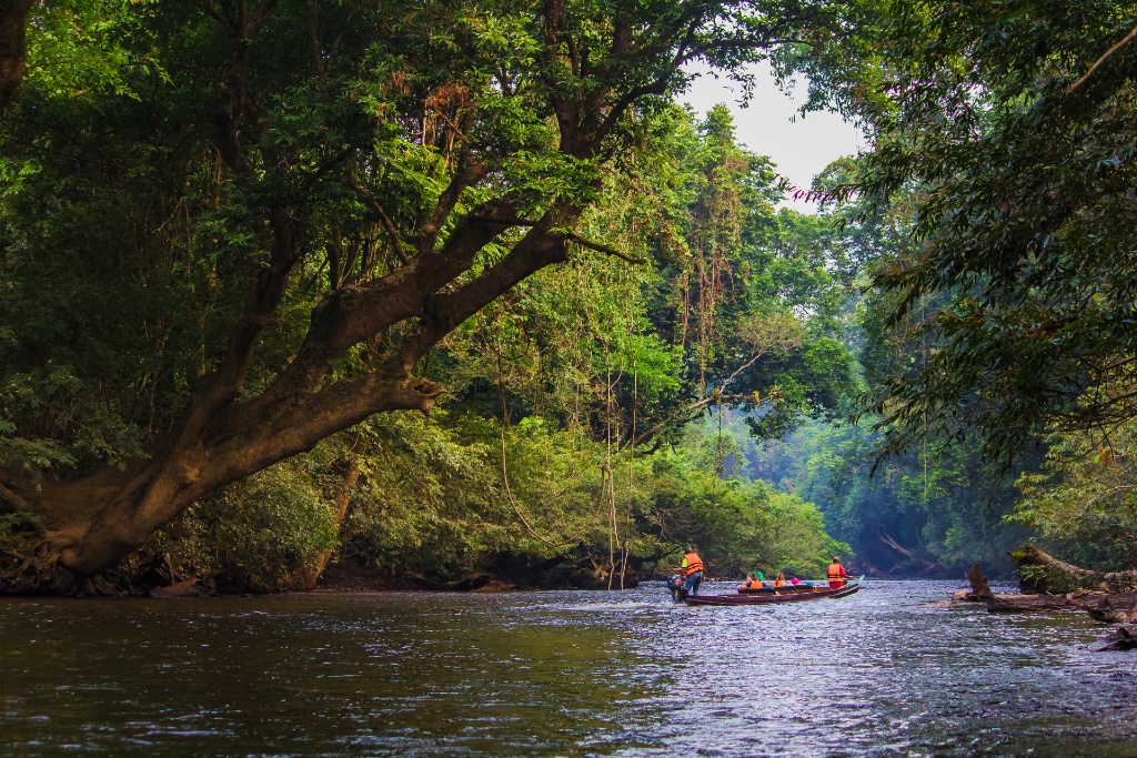 Taman Negara - Gallery image 2