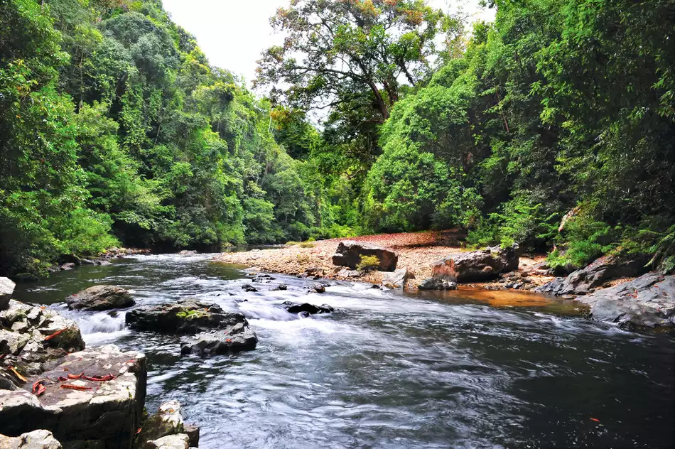 Taman Negara